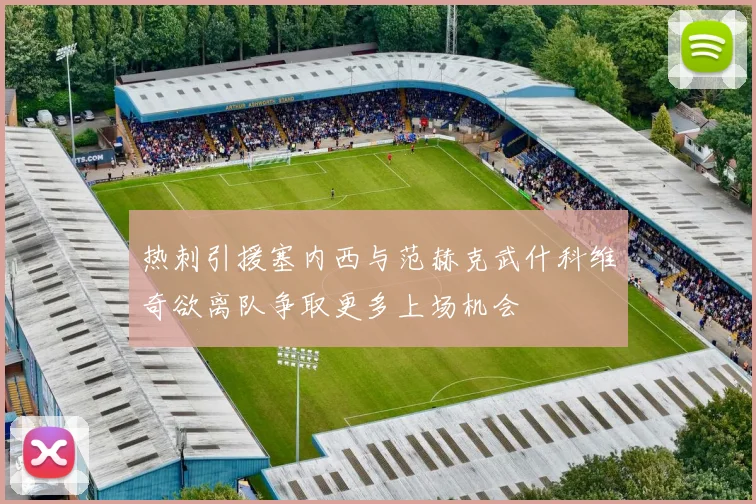 热刺引援塞内西与范赫克武什科维奇欲离队争取更多上场机会