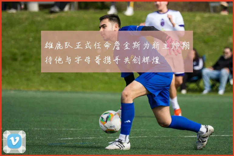 雄鹿队正式任命詹金斯为新主帅期待他与字母哥携手共创辉煌